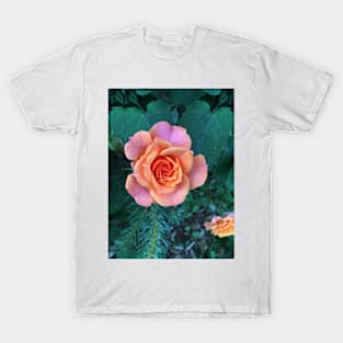 Rose 2 T-Shirt